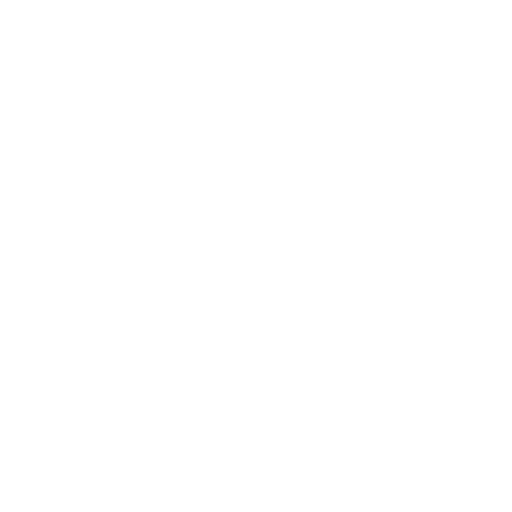 Massima sicurezza
